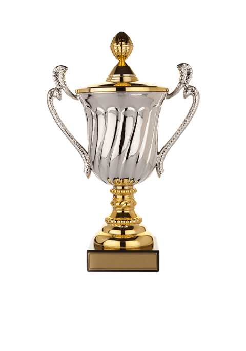 trophy_02 https://meflat.digi53.com/wp-content/uploads/2022/11/trophy_02.png