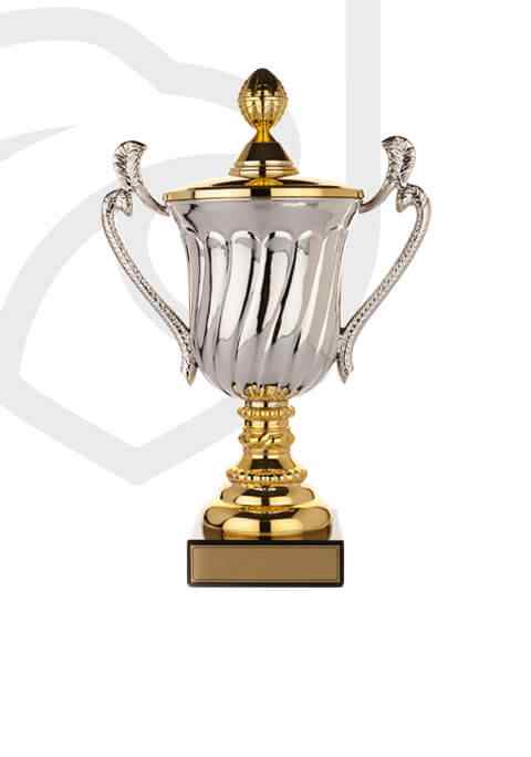 trophy_overlay_02 https://meflat.digi53.com/wp-content/uploads/2022/11/trophy_overlay_02.jpg