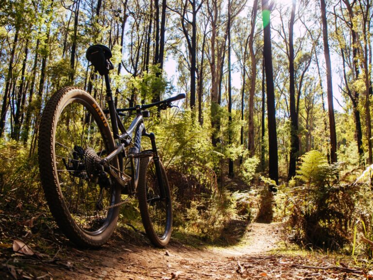 xc-climber